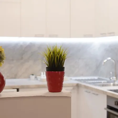 Skadarlija Nb Bělehrad